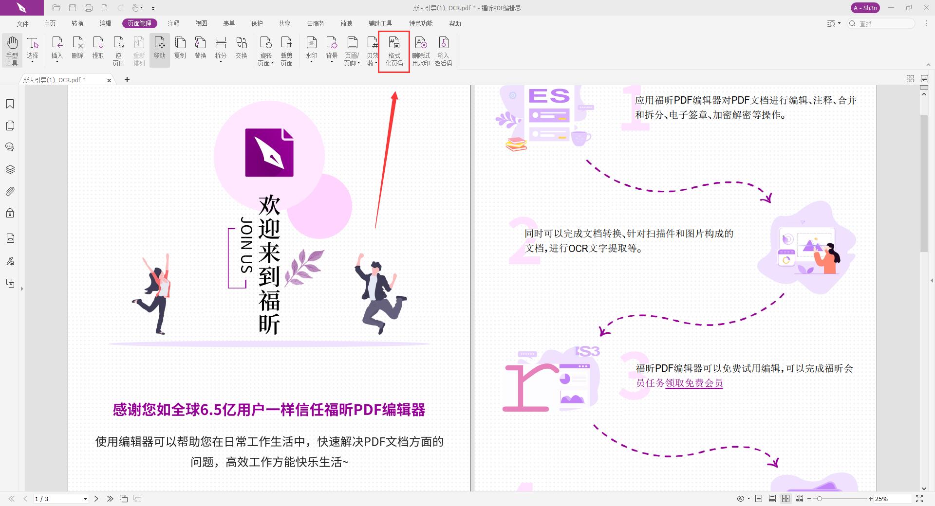 PDF頁碼格式化